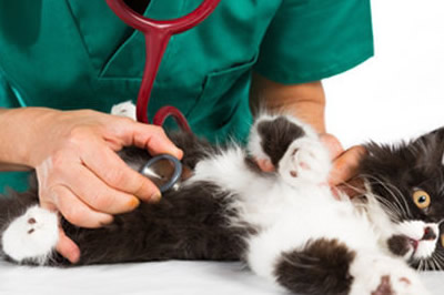 Medicina Generale